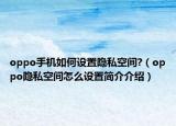 oppo手機(jī)如何設(shè)置隱私空間?（oppo隱私空間怎么設(shè)置簡介介紹）
