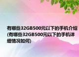 有哪些32GB500元以下的手機(jī)介紹(有哪些32GB500元以下的手機(jī)詳細(xì)情況如何)