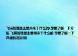 飛貓加速器主要用來干什么的(想要了解一下介紹 飛貓加速器主要用來干什么的 想要了解一下詳細情況如何)