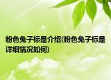 粉色兔子標(biāo)是介紹(粉色兔子標(biāo)是詳細(xì)情況如何)