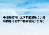 小池是描寫(xiě)什么季節(jié)的景色（小池寫(xiě)的是什么季節(jié)的景色簡(jiǎn)介介紹）