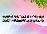 我想跨越萬水千山去睡你介紹(我想跨越萬水千山去睡你詳細(xì)情況如何)