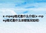x-mpeg格式是什么介紹(x-mpeg格式是什么詳細(xì)情況如何)