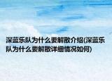 深藍(lán)樂隊(duì)為什么要解散介紹(深藍(lán)樂隊(duì)為什么要解散詳細(xì)情況如何)