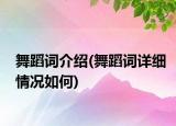 舞蹈詞介紹(舞蹈詞詳細情況如何)
