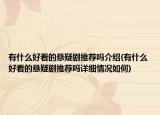 有什么好看的懸疑劇推薦嗎介紹(有什么好看的懸疑劇推薦嗎詳細情況如何)