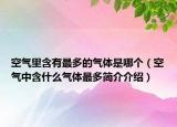 空氣里含有最多的氣體是哪個(gè)（空氣中含什么氣體最多簡(jiǎn)介介紹）
