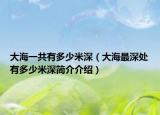 大海一共有多少米深（大海最深處有多少米深簡(jiǎn)介介紹）
