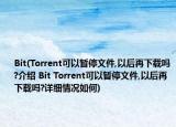 Bit(Torrent可以暫停文件,以后再下載嗎?介紹 Bit Torrent可以暫停文件,以后再下載嗎?詳細(xì)情況如何)