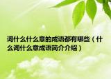 詞什么什么意的成語都有哪些（什么詞什么意成語簡介介紹）