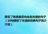 攢足了希望最后也全是失望的句子（10句攢夠了失望的經(jīng)典句子簡(jiǎn)介介紹）