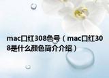 mac口紅308色號（mac口紅308是什么顏色簡介介紹）