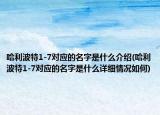 哈利波特1-7對應的名字是什么介紹(哈利波特1-7對應的名字是什么詳細情況如何)