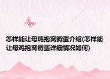 怎樣能讓母雞抱窩孵蛋介紹(怎樣能讓母雞抱窩孵蛋詳細(xì)情況如何)