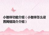 小智伴功能介紹（小智伴怎么設(shè)置網(wǎng)絡(luò)簡介介紹）