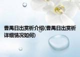曹禺日出賞析介紹(曹禺日出賞析詳細(xì)情況如何)