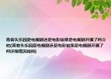青春失樂園是電視劇還是電影如果是電視劇開播了嗎介紹(青春失樂園是電視劇還是電影如果是電視劇開播了嗎詳細(xì)情況如何)