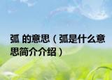 弧 的意思（弧是什么意思簡(jiǎn)介介紹）