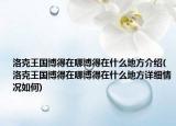 洛克王國博得在哪博得在什么地方介紹(洛克王國博得在哪博得在什么地方詳細(xì)情況如何)