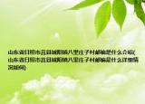 山東省日照市莒縣城陽鎮(zhèn)八里莊子村郵編是什么介紹(山東省日照市莒縣城陽鎮(zhèn)八里莊子村郵編是什么詳細情況如何)