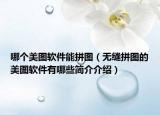 哪個(gè)美圖軟件能拼圖（無(wú)縫拼圖的美圖軟件有哪些簡(jiǎn)介介紹）