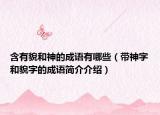 含有貌和神的成語有哪些（帶神字和貌字的成語簡介介紹）