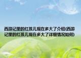 西游記里的紅孩兒現(xiàn)在多大了介紹(西游記里的紅孩兒現(xiàn)在多大了詳細(xì)情況如何)