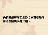 頭發(fā)老是癢癢怎么辦（頭發(fā)老是癢癢怎么解決簡介介紹）