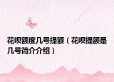 花唄額度幾號提額（花唄提額是幾號簡介介紹）