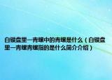 白銀盤(pán)里一青螺中的青螺是什么（白銀盤(pán)里一青螺青螺指的是什么簡(jiǎn)介介紹）