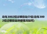 動(dòng)車3002經(jīng)過(guò)哪些站介紹(動(dòng)車3002經(jīng)過(guò)哪些站詳細(xì)情況如何)