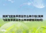 澳洲飛鼠魚竿質(zhì)量怎么樣介紹(澳洲飛鼠魚竿質(zhì)量怎么樣詳細情況如何)