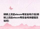 轉(zhuǎn)轉(zhuǎn)上賣的steam號安全嗎介紹(轉(zhuǎn)轉(zhuǎn)上賣的steam號安全嗎詳細(xì)情況如何)