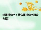 啥是神仙水（什么是神仙水簡介介紹）