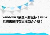 windows7黑屏只有鼠標(biāo)（win7系統(tǒng)黑屏只有鼠標(biāo)簡介介紹）
