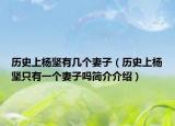 歷史上楊堅(jiān)有幾個(gè)妻子（歷史上楊堅(jiān)只有一個(gè)妻子嗎簡(jiǎn)介介紹）