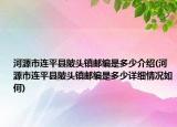 河源市連平縣陂頭鎮(zhèn)郵編是多少介紹(河源市連平縣陂頭鎮(zhèn)郵編是多少詳細情況如何)