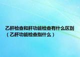 乙肝檢查和肝功能檢查有什么區(qū)別（乙肝功能檢查指什么）