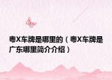 粵X車(chē)牌是哪里的（粵X車(chē)牌是廣東哪里簡(jiǎn)介介紹）