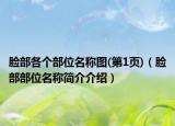 臉部各個(gè)部位名稱圖(第1頁(yè))（臉部部位名稱簡(jiǎn)介介紹）