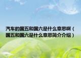 汽車的國五和國六是什么意思?。▏搴蛧鞘裁匆馑己喗榻榻B）