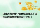 白夜追兇劇情介紹大結(jié)局曝光（白夜追兇結(jié)局大揭秘簡介介紹）