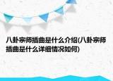 八卦宗師插曲是什么介紹(八卦宗師插曲是什么詳細情況如何)