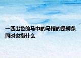 一匹出色的馬中的馬指的是柳條同時也指什么