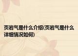 頁(yè)巖氣是什么介紹(頁(yè)巖氣是什么詳細(xì)情況如何)