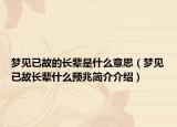 夢(mèng)見(jiàn)已故的長(zhǎng)輩是什么意思（夢(mèng)見(jiàn)已故長(zhǎng)輩什么預(yù)兆簡(jiǎn)介介紹）