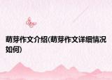 萌芽作文介紹(萌芽作文詳細(xì)情況如何)