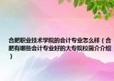 合肥職業(yè)技術(shù)學(xué)院的會計專業(yè)怎么樣（合肥有哪些會計專業(yè)好的大專院校簡介介紹）