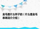 金毛是什么樣子的（什么是金毛串串簡介介紹）