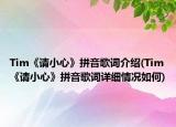 Tim《請(qǐng)小心》拼音歌詞介紹(Tim《請(qǐng)小心》拼音歌詞詳細(xì)情況如何)